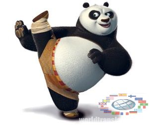 фільтр google panda